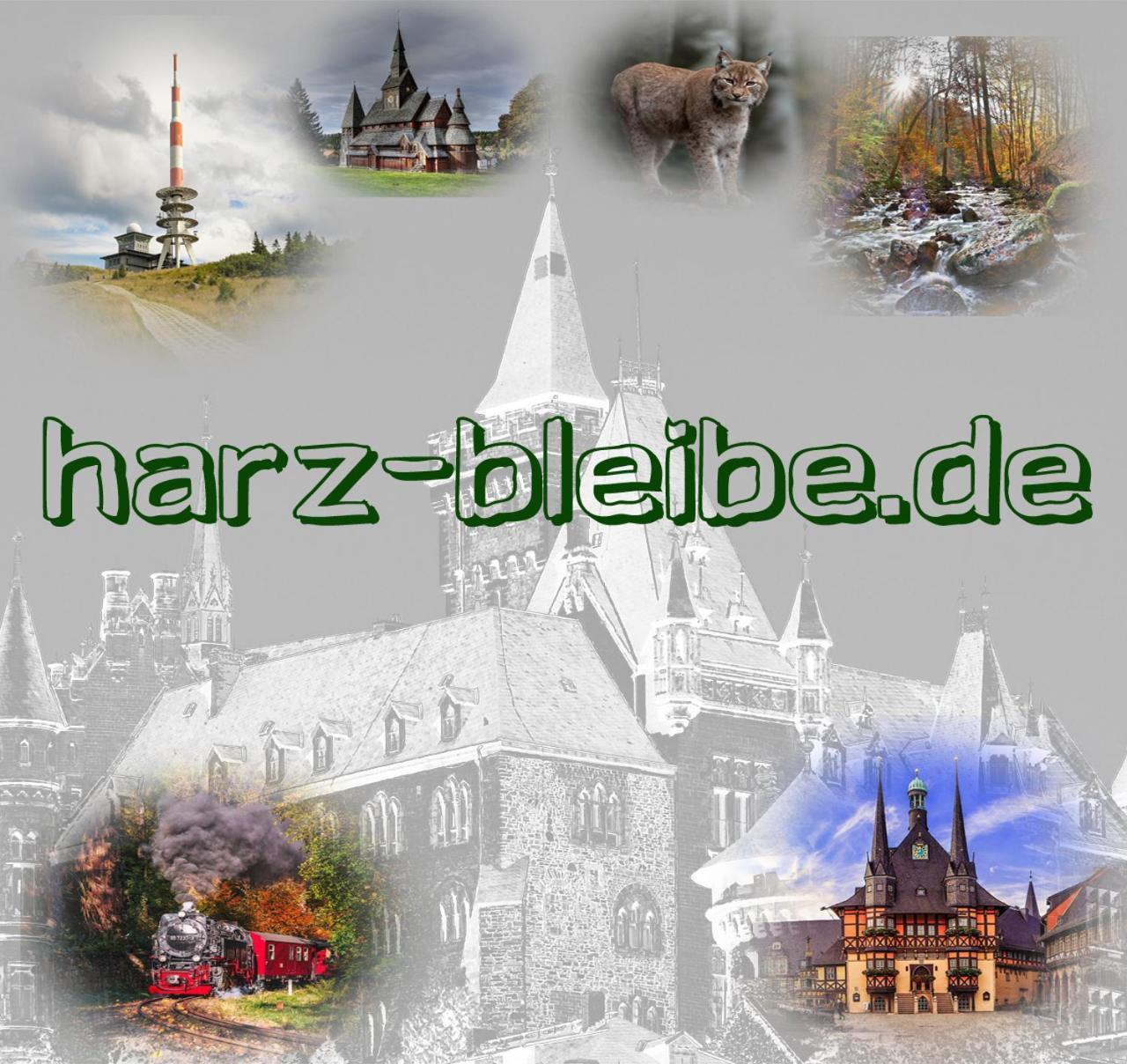 Appartamento Harz-Bleibe Wernigerode Esterno foto